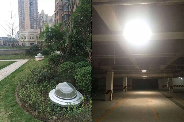 光導系統綠化安裝
